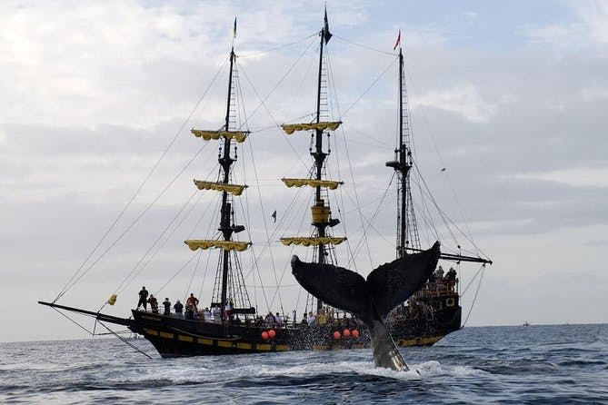 Imagen del tour: Avistamiento de ballenas en barco pirata en Los Cabos