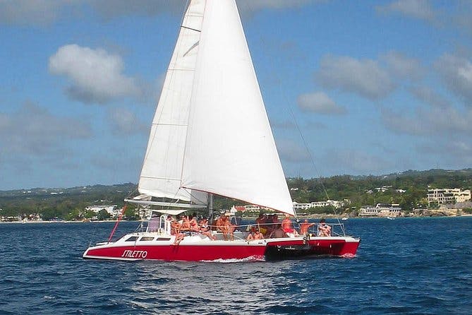 Imagen del tour: Snorkel en tortuga catamarán de Barbados con almuerzo y barra libre