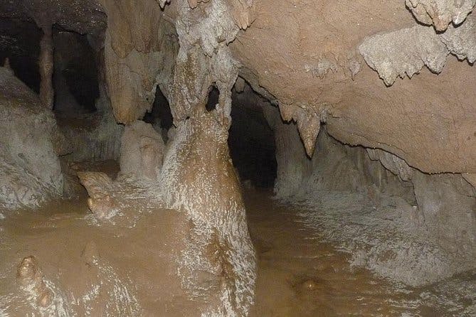 Imagen del tour: Excursión a la Cueva de Saint Herman y visita a Blue Hole desde la ciudad de Belice