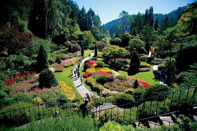 Imagen del tour: Visita a los Jardines de Victoria y los Butchart desde Vancouver