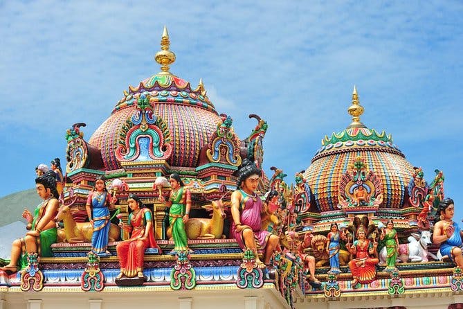 Imagen del tour: Excursión privada: Visita de medio día a Chennai con el Museo del Gobierno y el Templo de Kapaleeshwar.