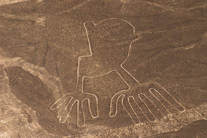 Imagen del tour: Vuelo de 30 minutos sobre las Líneas de Nazca desde Nazca