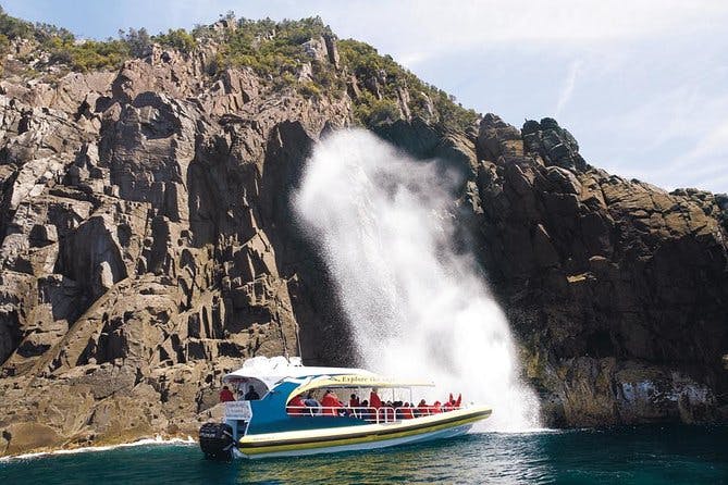 Imagen del tour: Excursión de un día a Bruny Island Cruises desde Hobart