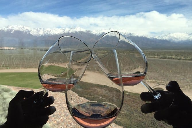 Imagen del tour: Excursión privada: región vinícola de Luján de Cuyo desde Mendoza