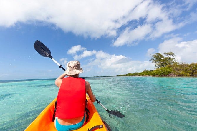 Imagen del tour: Snorkel y Kayak Adventure en Antigua