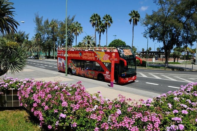 Imagen del tour: Excursión en autobús turístico con paradas libres de Las Palmas de Gran Canaria