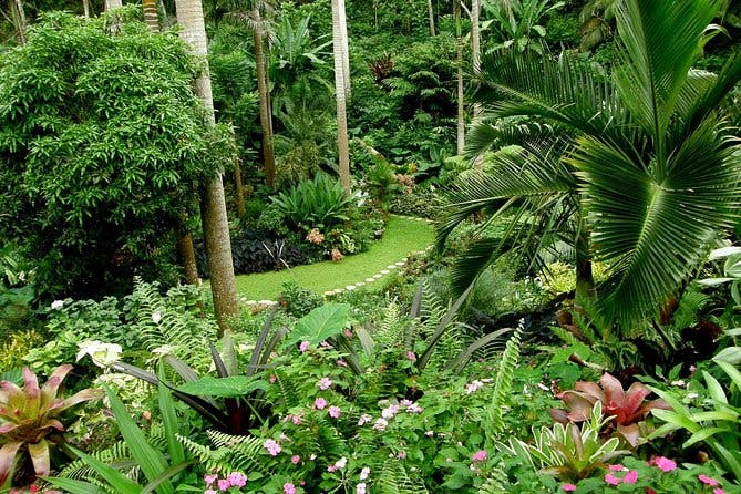 Imagen del tour: Excursión privada a Barbados para grupos pequeños o en grupo pequeño de Hunte's Garden y St Nicholas Abbey