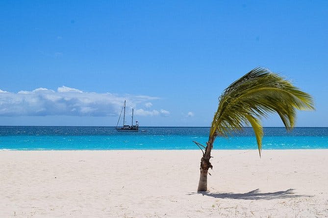Imagen del tour: Excursión por la costa de Barbados Recorrido turístico por el paraíso de Barbados