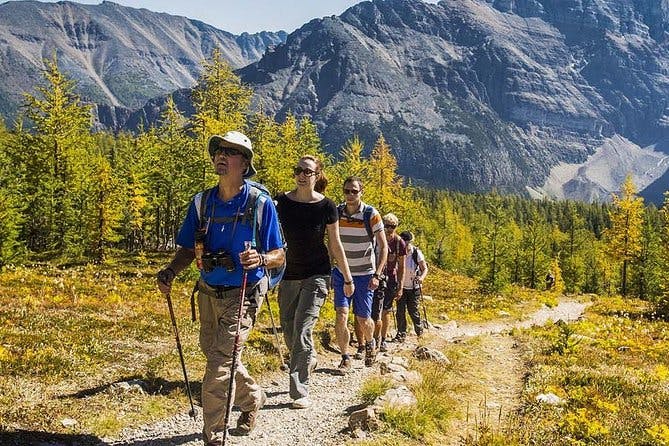 Imagen del tour: Caminata guiada por el Parque Nacional Banff con almuerzo
