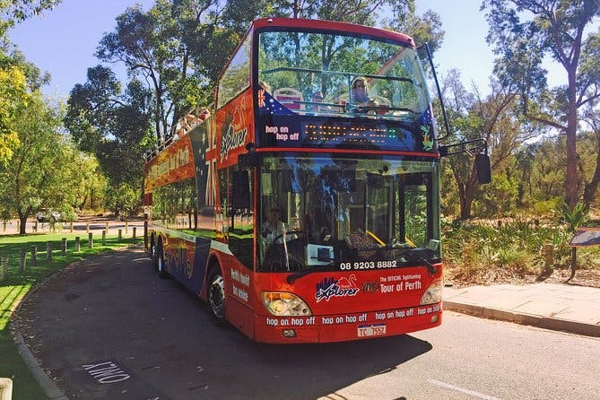 Imagen del tour: Recorrido en autobús con paradas libres por Perth