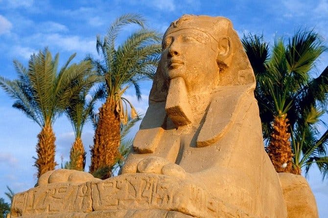 Imagen del tour: Las mejores vacaciones en Egipto con El Cairo, Abu Simbel, Asuán y Luxor en 8 días y 7 noches