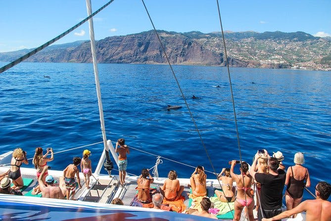 Imagen del tour: Crucero en catamarán con avistamiento de ballenas y delfines desde Funchal