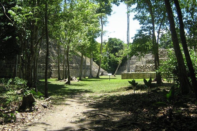 Imagen del tour: Full-Day Caracol Maya Temple y Pine Ridge Forest Reserve