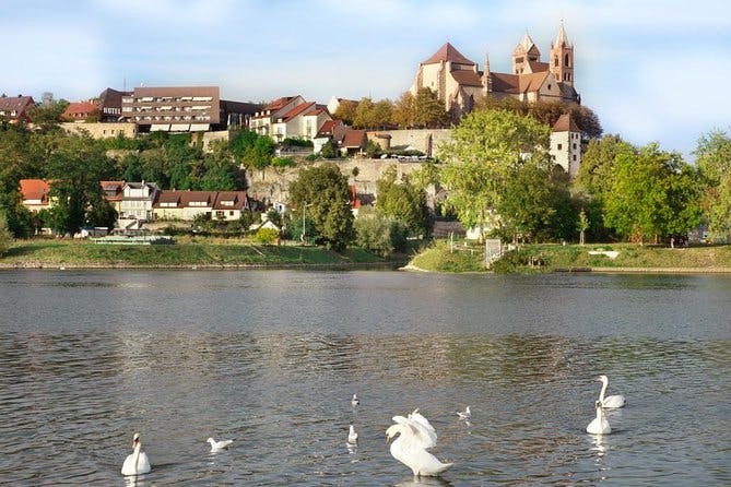 Imagen del tour: Visita turística a Breisach upon Rhine y excursión de cata de vinos