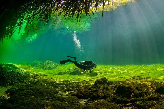 Imagen del tour: Cenote Diving para buceadores primerizos y para inmersiones de actualización en Tulum