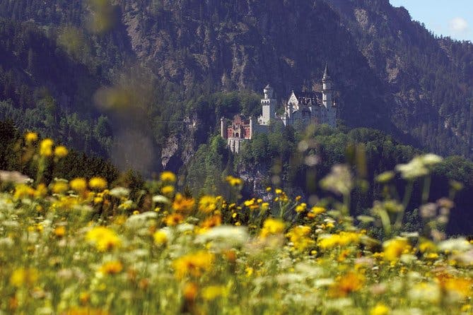 Imagen del tour: Excursión privada de día completo desde Fuessen: Castillo de Neuschwanstein, Oberammergau y Castillo de Linderhof
