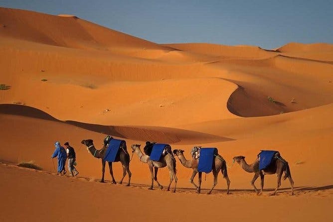 Imagen del tour: Tour privado por el desierto del Sahara: Merzouga desde Marrakech 3 días