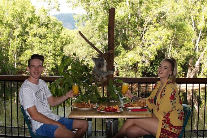 Imagen del tour: Desayuno de Hartley's Crocodile Adventures con los koalas