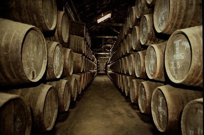 Imagen del tour: Excursión por los alberges de vino en Oporto, incluyendo 7 catas de vino