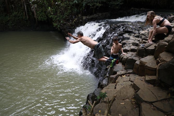 Imagen del tour: Aventura de senderismo en grupo pequeño por la cascada y la selva tropical en Maui