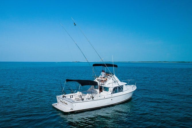 Imagen del tour: Aventura privada en bote para bucear o pescar en Nassau: bote de 31 pies