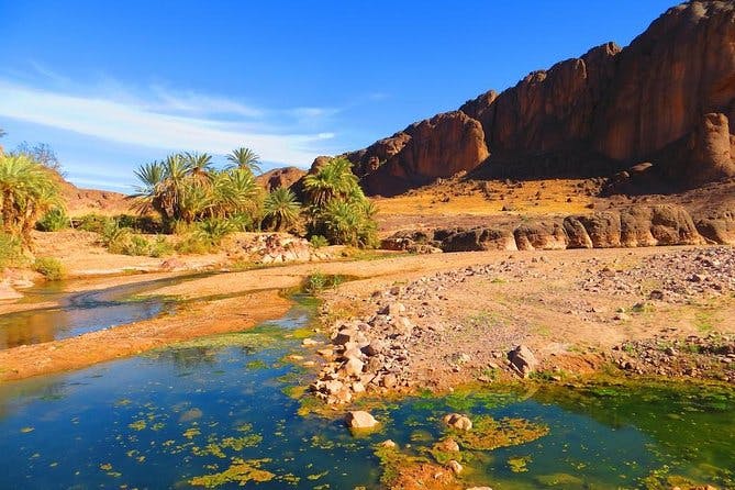 Imagen del tour: Tour privado de un día por Ouarzazate y Oasis Fint