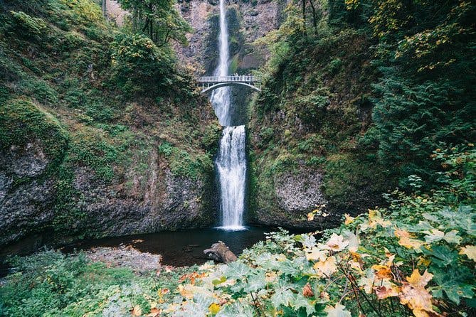 Imagen del tour: Excursión de medio día por la tarde a la cascada Multnomah y las cataratas de la garganta del río Columbia desde Portland
