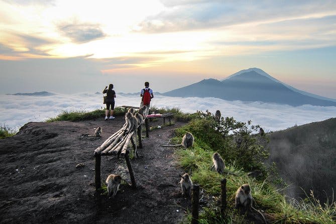Imagen del tour: Batur Volcán Amanecer Trekking y aguas termales naturales
