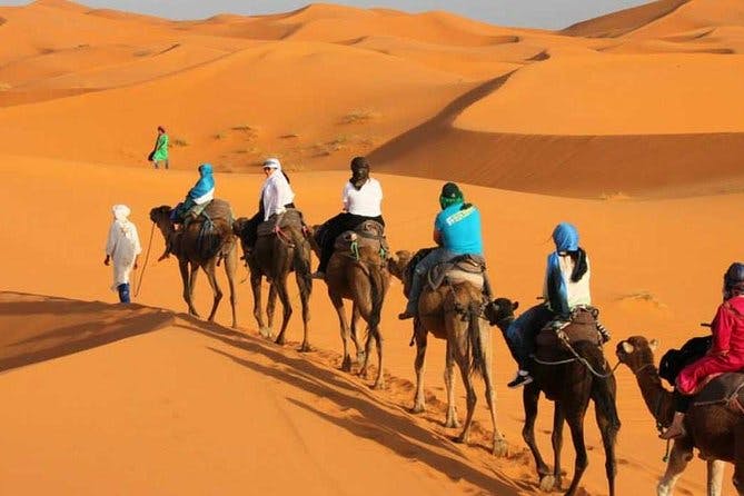 Imagen del tour: Tour de 3 días por el desierto desde Marrakech a Merzouga Dunes y Camel Trek
