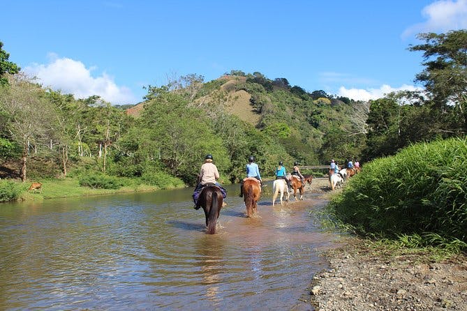 Imagen del tour: Paseos a Caballo, región de Jaco Costa Rica