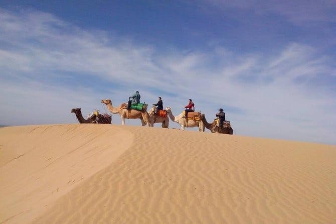 Imagen del tour: Paseo en camello de 3 horas en Essaouira con cena y alojamiento en un campamento bereber