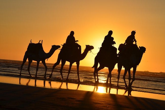 Imagen del tour: 3 horas de paseo en camello al atardecer