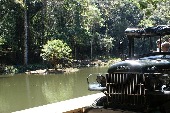 Imagen del tour: Excursión en jeep por la selva tropical de Tijuca desde Río de Janeiro