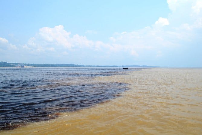 Imagen del tour: Recorrido de expedición de medio día por el río Negro del Amazonas