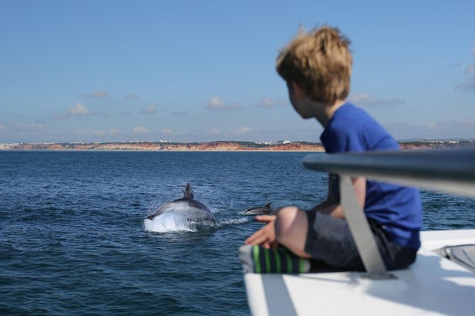 Imagen del tour: Búsqueda de delfines - Búsqueda de delfines