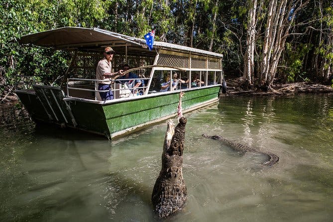 Imagen del tour: Excursión de un día a Hartley's Crocodile Adventures desde Palm Cove