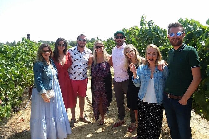 Imagen del tour: Excursión para grupos pequeños a la región vinícola desde San Francisco con catas de vino