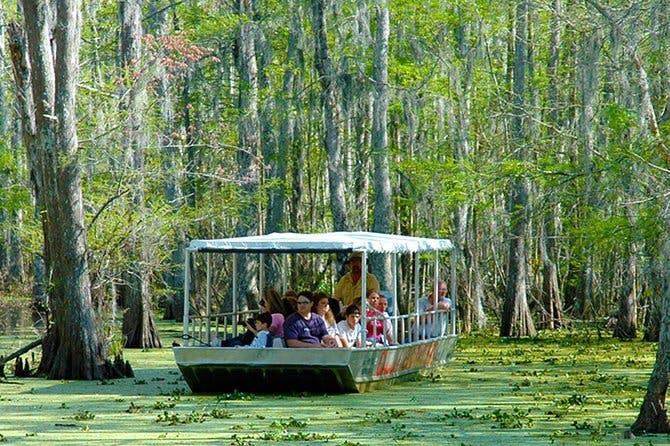 Imagen del tour: Recorrido en barco por el pantano y los brazos pantanosos de Nueva Orleans con transporte