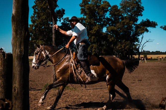 Imagen del tour: Escapada gaucha de un día con salida desde Buenos Aires: rancho Santa Susana