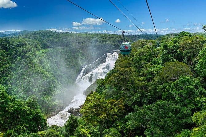 Imagen del tour: Escapada de un día al teleférico Skyrail sobre la jungla desde Port Douglas