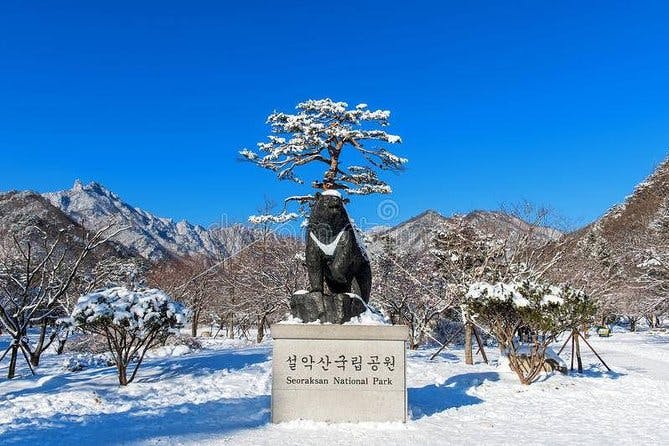 Imagen del tour: Descubra el tour en autobús de Corea (2 días Seúl - Mt Soerak)