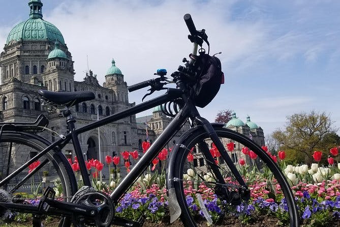 Imagen del tour: Recorrido en bicicleta por castillos y barrios de Victoria
