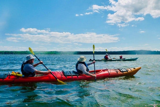 Imagen del tour: Tour de medio día en kayak de mar para grupos pequeños por la isla de Orleans
