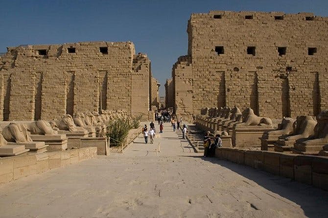 Imagen del tour: Excursión de un día a Luxor desde Marsa Alam
