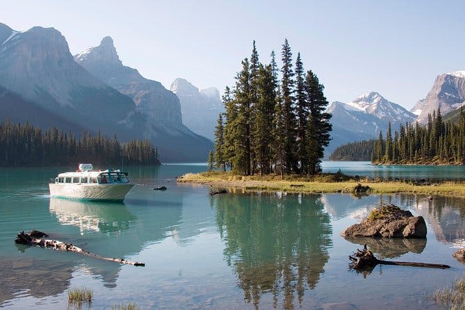 Imagen del tour: Excursión de 5,5 horas de la fauna, flora y cascadas de Jasper, con crucero por el lago Maligne de Jasper.