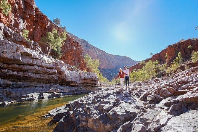 Imagen del tour: Viaje de 5 días por carretera desde Ayers Rock a Alice Springs