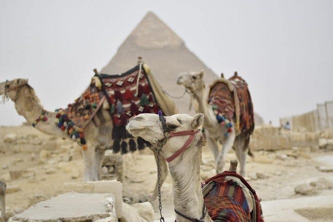 Imagen del tour: Excursión de un día a las pirámides de El Cairo desde Hurghada