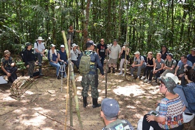 Imagen del tour: Tour de medio día - Jaguar Jungle Survival - Amazon Rainforest - Desde Manaus