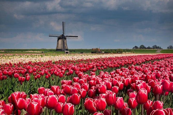 Imagen del tour: Zaanse Schans Windmills-Volendam-Giethoorn Tour privado Guía privada 1 día