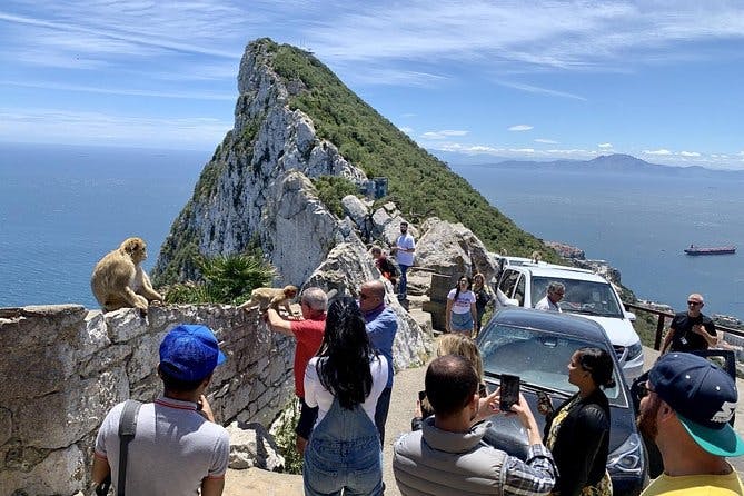Imagen del tour: Tours de Gibraltar - PLUS TOUR